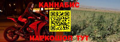 дживик Владимир