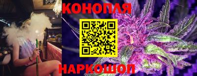 дживик Владимир