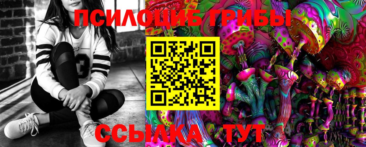 Новокубанск  Галлюциногенные грибы Cubensis  Вход с VPN 